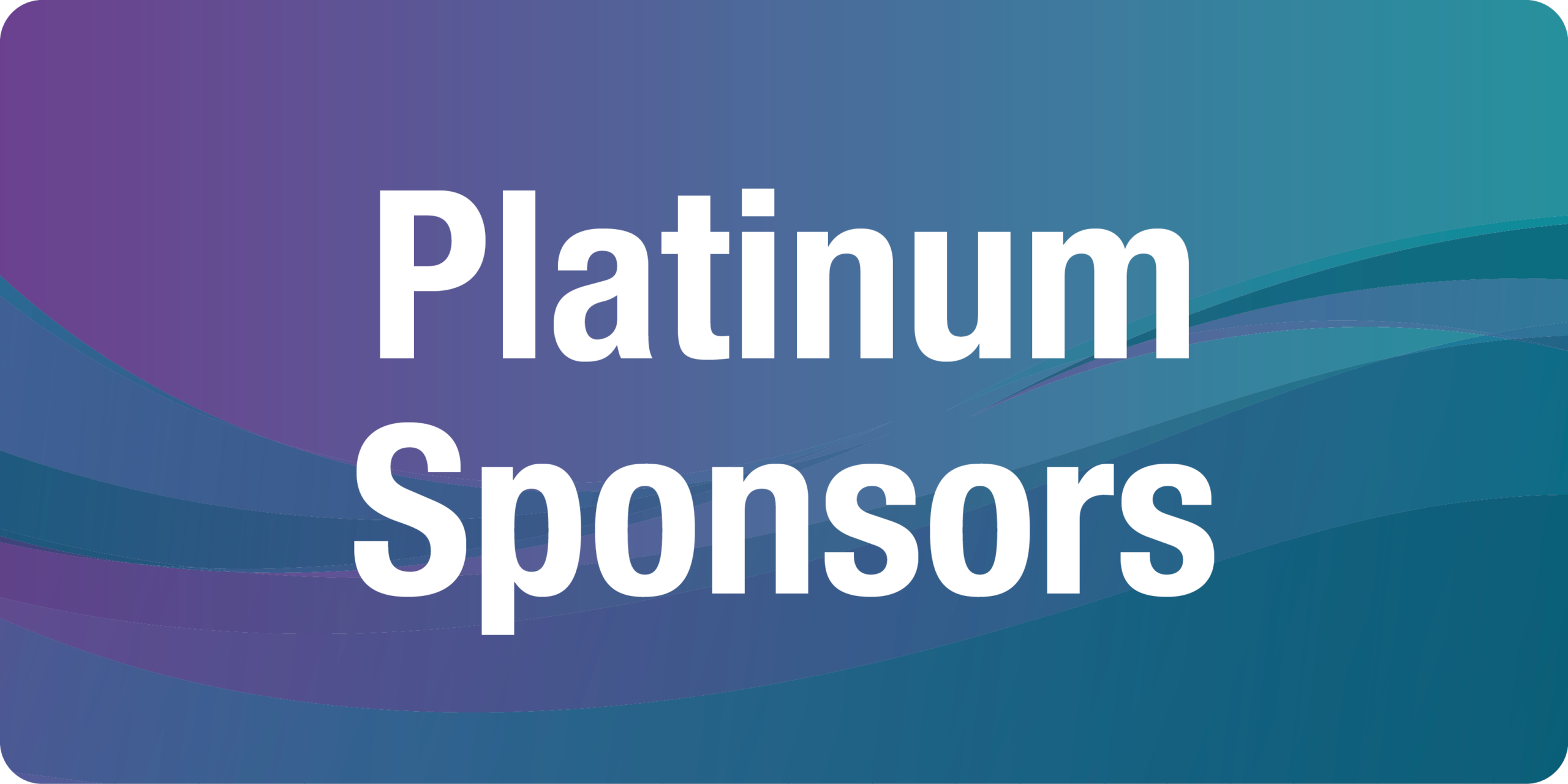 Energy Storage Summit - Platinum Sponsor Carousel Divider
