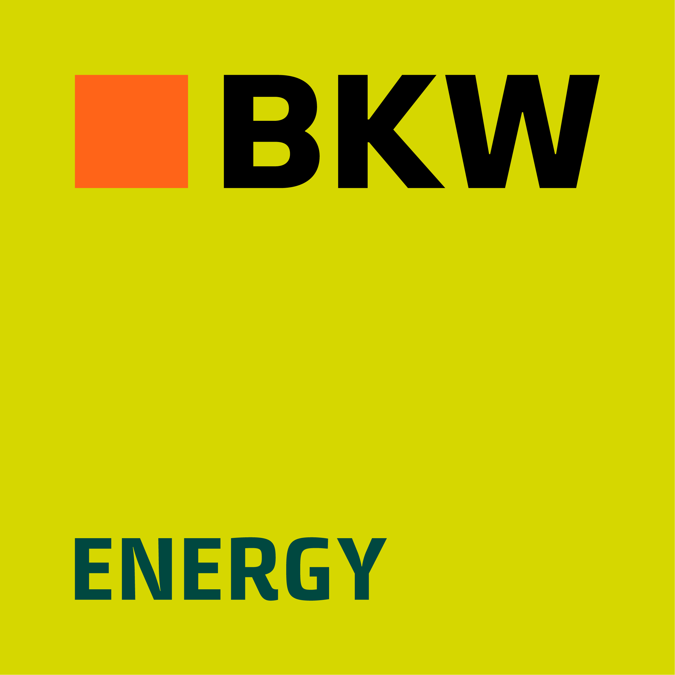 BKW Energie AG logo - Energy Storage Summit Sponsor